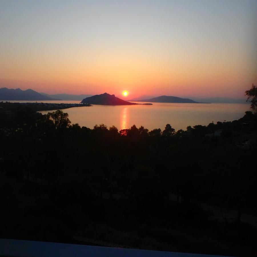 Villa Rodanthos Perdika  Eksteriør billede