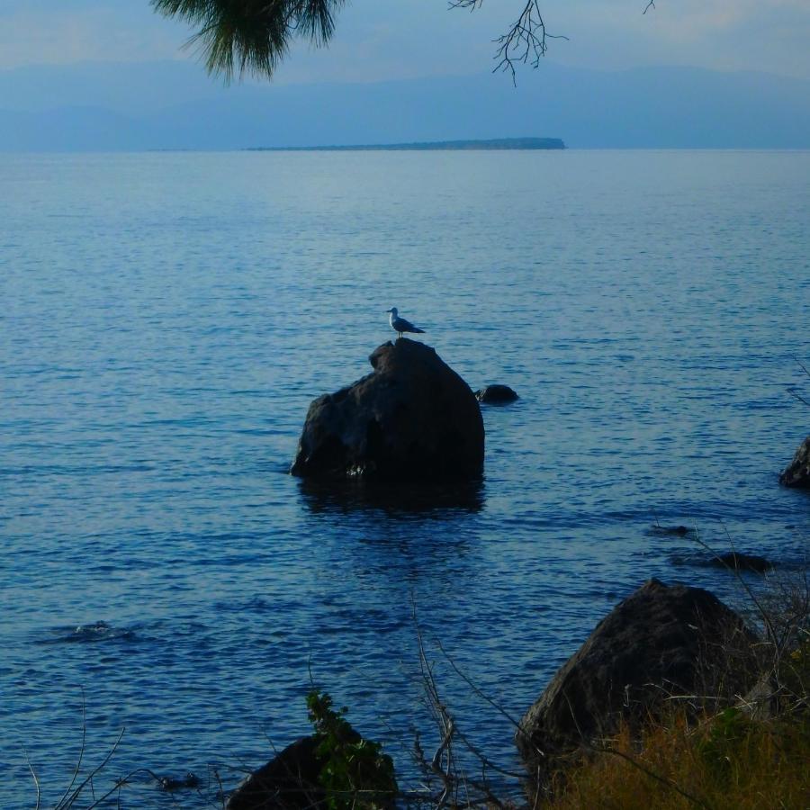 Villa Rodanthos Perdika  Eksteriør billede