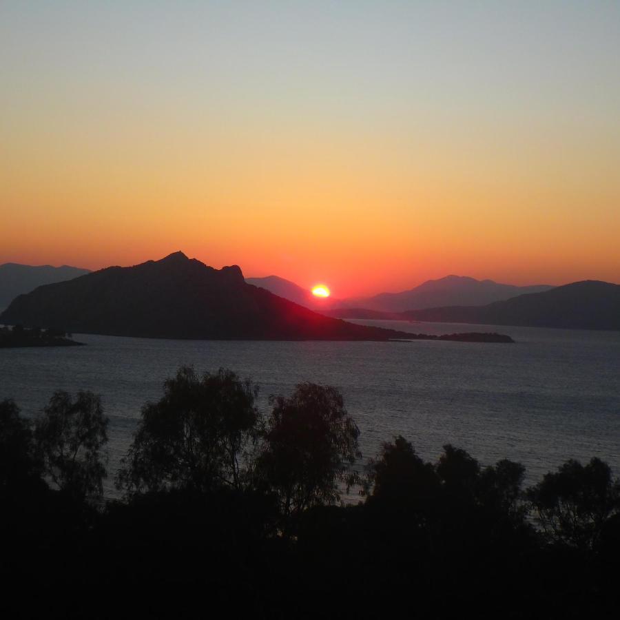 Villa Rodanthos Perdika  Eksteriør billede